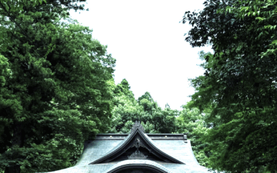 先日家族で行った金劔宮