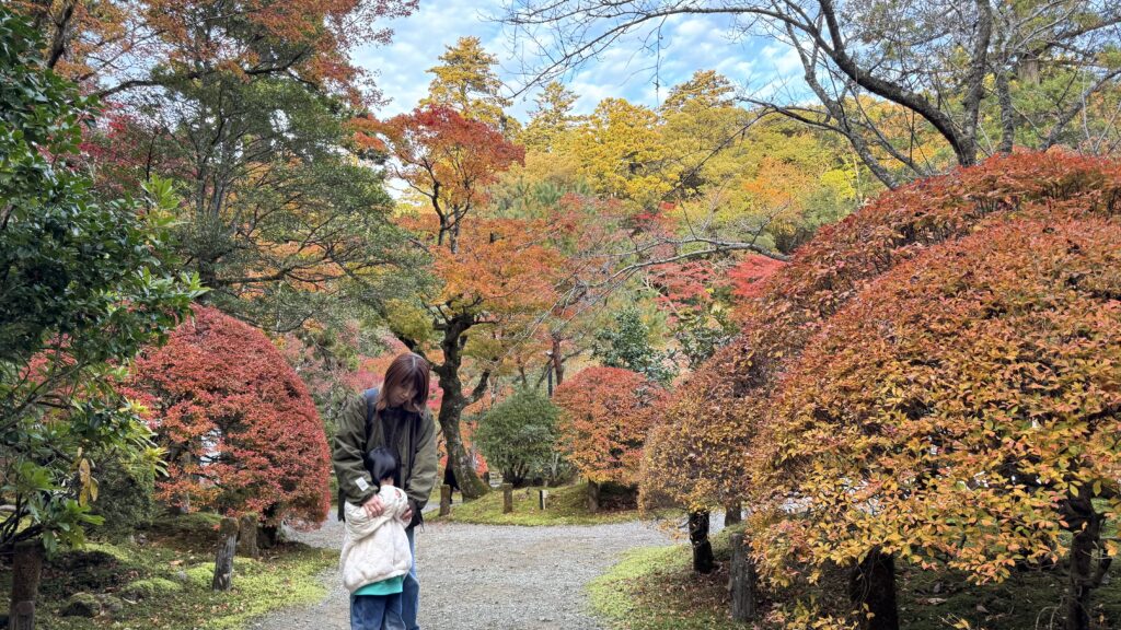 那谷寺の紅葉に触れて感じた、“価値を守り続けるということ”-1