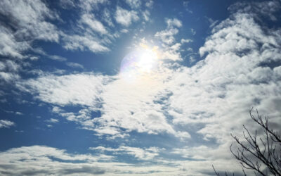 時間を越えてつながり続けるご縁