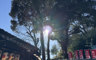 導かれるように訪れた、毛谷黒龍神社